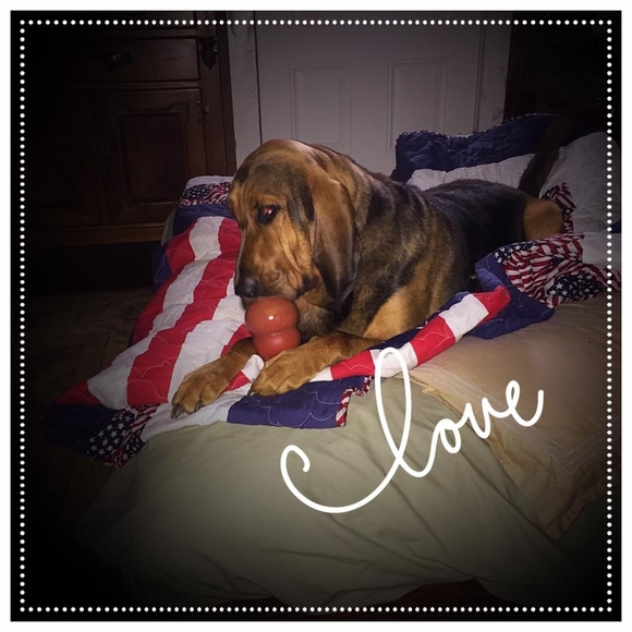 Meet your Posher, Joel julie - Picture 1 of 1